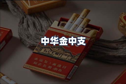 中华金中支